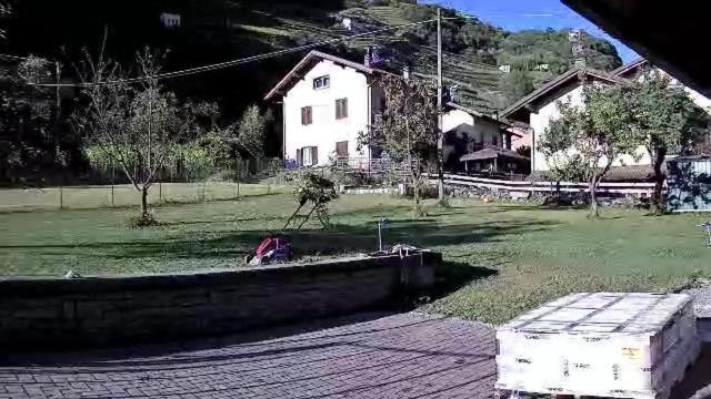 Joy Valtellina Per Amanti Degli Animali Tresenda Exterior foto