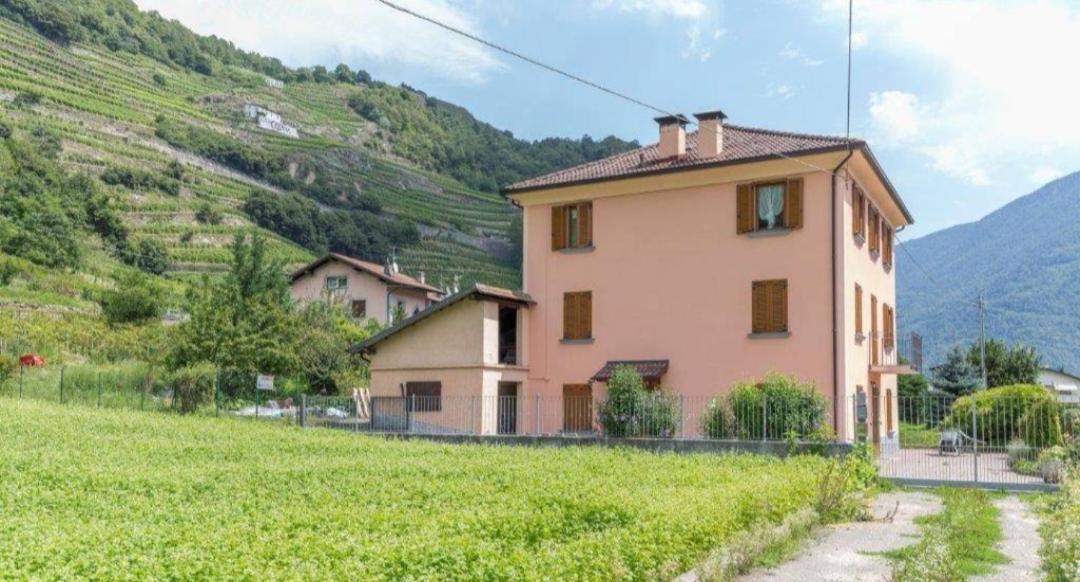 Joy Valtellina Per Amanti Degli Animali Tresenda Exterior foto